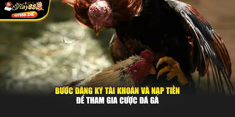 Bước đăng ký tài khoản và nạp tiền để tham gia cược đá gà