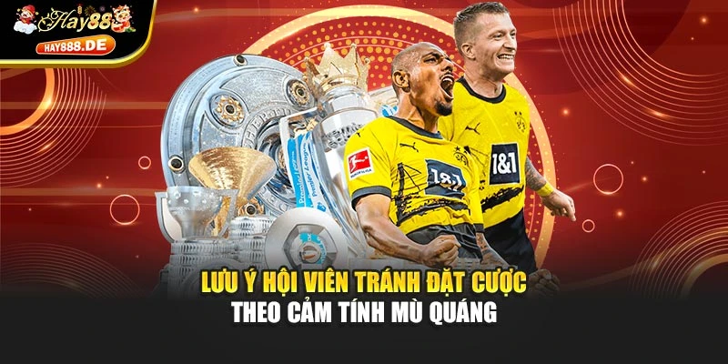 Lưu ý hội viên tránh đặt cược theo cảm tính mù quáng